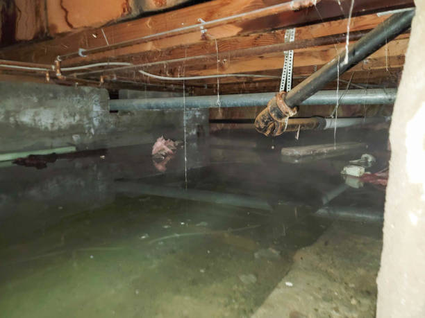 Best Water damage restoration near me  in Berea, OH