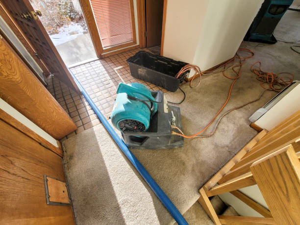 Best Water damage restoration near me  in Berea, OH